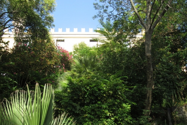 il-castello-fienga-particolare-fileminimizerD49B717D-ADE1-ED89-A7B5-C832D435537A.jpg